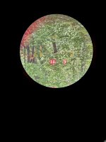 IMG_6841.jpeg