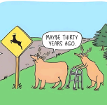 1747794511934.png