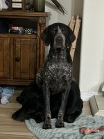 IMG_7322.jpeg