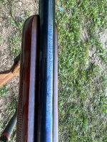 IMG_8671.jpeg