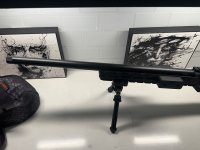 IMG_7684.jpeg