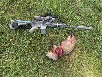 IMG_4768.jpeg