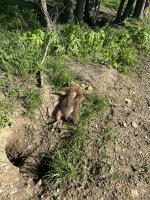 IMG_5647.jpeg