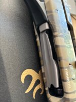IMG_7365.jpeg