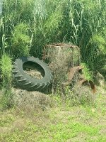IMG_20250523_115356894.jpg
