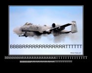 IMG_9984.jpeg