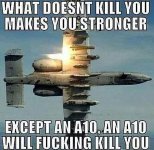 IMG_9985.jpeg