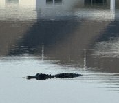 IMG_4258.jpeg