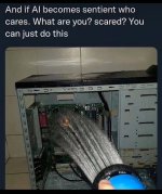 IMG_6339.jpeg