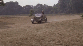 1748205798690.gif