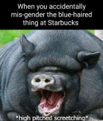 1748206355082.png