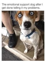 IMG_1554.jpeg