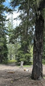 IMG_9598.jpeg