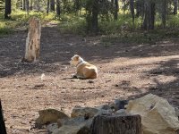 IMG_9593.jpeg
