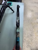 IMG_3157.jpeg