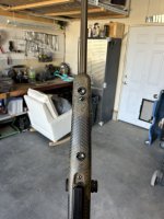 IMG_2037.jpeg