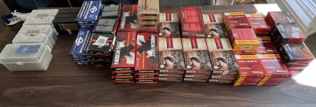 IMG_2385.jpeg