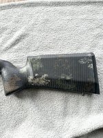 IMG_0533.jpeg