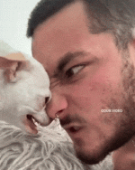 1748379010839.gif