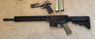 IMG_2225.jpeg