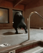 daily_gifdump_5012_47.gif