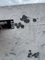 IMG_0658.jpeg