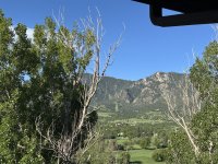 IMG_9001.jpeg
