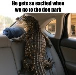 IMG_9002.jpeg