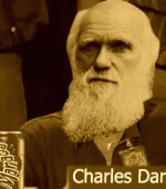 1748450913020.gif