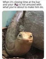 1748522994019.png