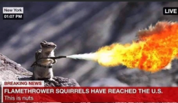 1748531523269.png