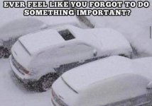 IMG_3340.jpeg