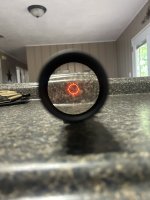 IMG_8124.jpeg