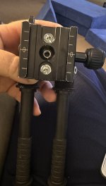 IMG_0737.jpeg