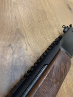 IMG_8849.jpeg