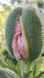 1748736201353.png