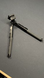 IMG_7328.jpeg