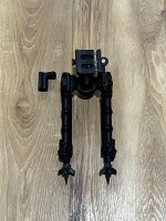 IMG_3943.jpeg