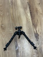 IMG_3945.jpeg