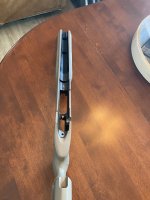 IMG_0956.jpeg
