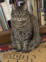 IMG_8169.jpeg