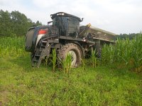 IMG_20250603_174507442.jpg