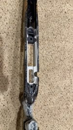 IMG_1388.jpeg