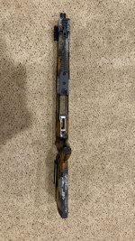 IMG_1386.jpeg