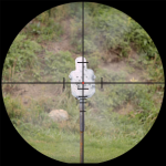 IMG_8696.png