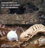 IMG_6712.jpeg
