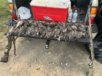 IMG_9607.jpeg