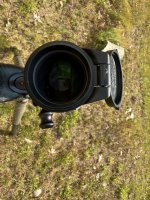 IMG_5987.jpeg