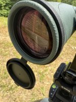IMG_6009.jpeg