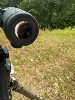 IMG_6017.jpeg